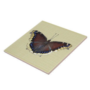 Trauernder Schmetterling in der Cloak - Nymphalis- Fliese