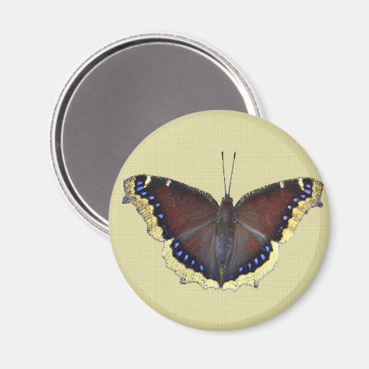 Trauernder Schmetterling in der Cloak - Nymphalis- Magnet (Vorderseite/Rückseite)