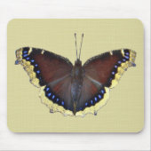 Trauernder Schmetterling in der Cloak - Nymphalis- Mousepad (Vorne)