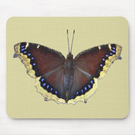 Trauernder Schmetterling in der Cloak - Nymphalis- Mousepad (Vorne)