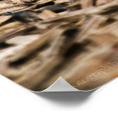 Trauertaube 3 Print Poster (Ecke)