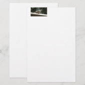 Trauertaube Briefpapier (Vorne/Hinten)