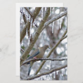 Trauertaube Briefpapier (Vorne/Hinten)