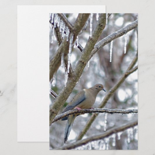 Trauertaube Briefpapier (Vorne/Hinten)