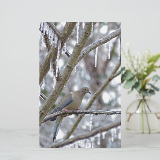 Trauertaube Briefpapier (Stehend Vorderseite)