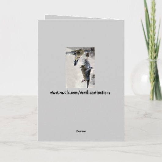 Trauertaube Feiertagskarte (Rückseite)