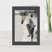 Trauertaube Feiertagskarte (Vorderseite)