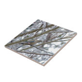 Trauertaube Fliese (Seite)