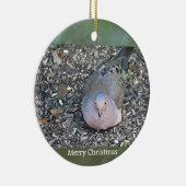 Trauertaube Foto Ornament (Rechts)