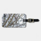 Trauertaube Gepäckanhänger (Vorderseite horizontal)