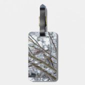 Trauertaube Gepäckanhänger (Rückseite vertikal)