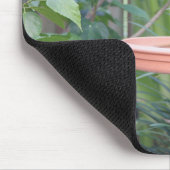 Trauertaube in Birdbad Mousepad (Ecke)