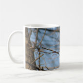 Trauertaube in der Tasse (Links)