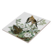 Trauertaube, John James Audubon Fliese (Seite)