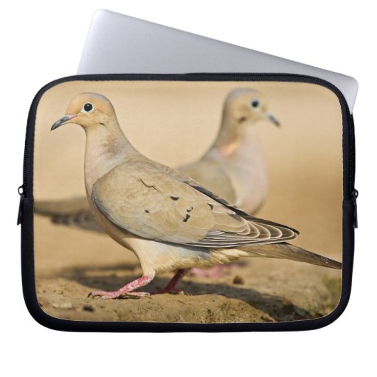 Trauertaube Laptopschutzhülle (Vorderseite)