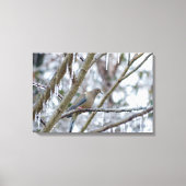 Trauertaube Leinwanddruck (Vorderseite)