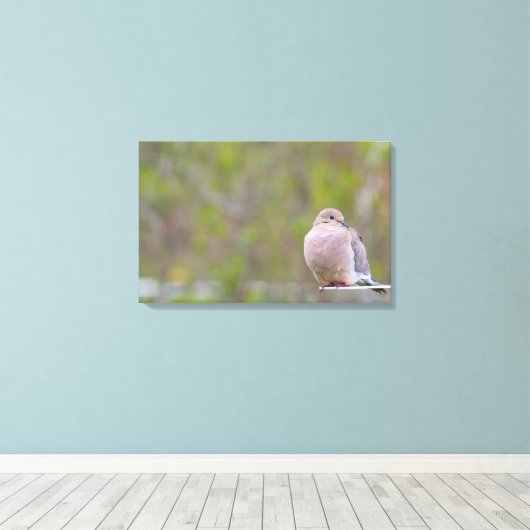 Trauertaube Leinwanddruck (Insitu (Holzboden))