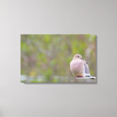 Trauertaube Leinwanddruck (Vorderseite)