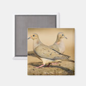 Trauertaube Magnet (Vorderseite/Rückseite)