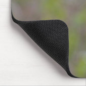 Trauertaube Mousepad (Ecke)