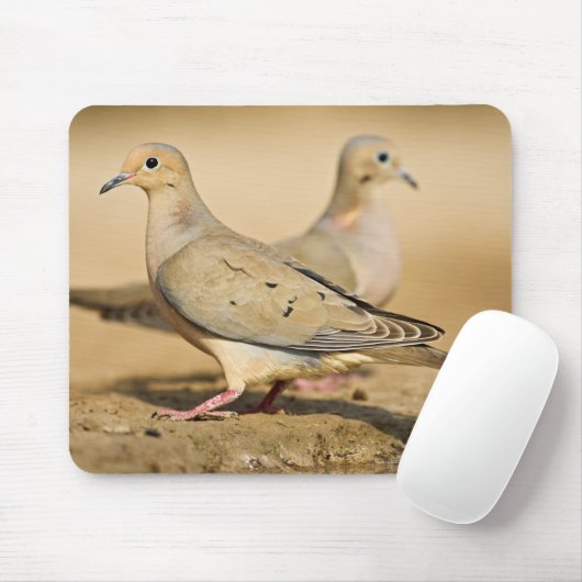 Trauertaube Mousepad (Mit Mouse)