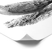 Trauertaube Poster (Ecke)