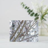 Trauertaube Postkarte (Stehend Vorderseite)