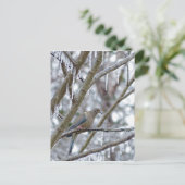 Trauertaube Postkarte (Stehend Vorderseite)