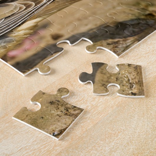 Trauertaube Puzzle (Seite)