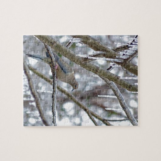 Trauertaube Puzzle (Horizontal)