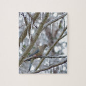 Trauertaube Puzzle (Vertikal)