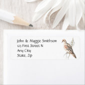 Trauertaube/ Schildkrötentaube, Bird, Adressetiket (Insitu)