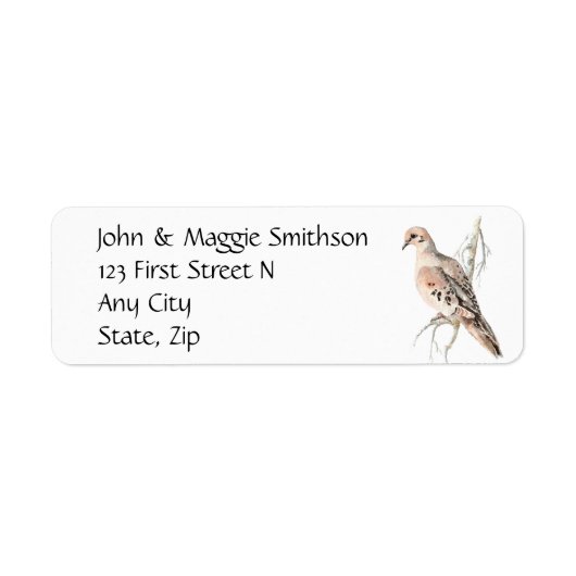 Trauertaube/ Schildkrötentaube, Bird, Adressetiket (Vorne)