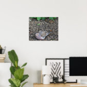 Trauertaube und Chipmunk-Poster Poster (Heimbüro)