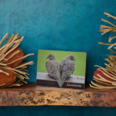 Trauertauben Fotoplatte (Seite)