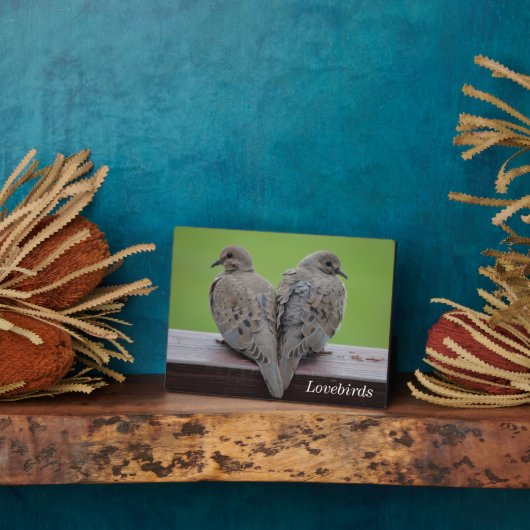 Trauertauben Fotoplatte (Seite)