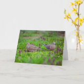 Trauertauben im Gras Verlust des zweifachen Beilei Karte (Gelbe Blume)