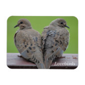 Trauertauben Magnet (Horizontal)