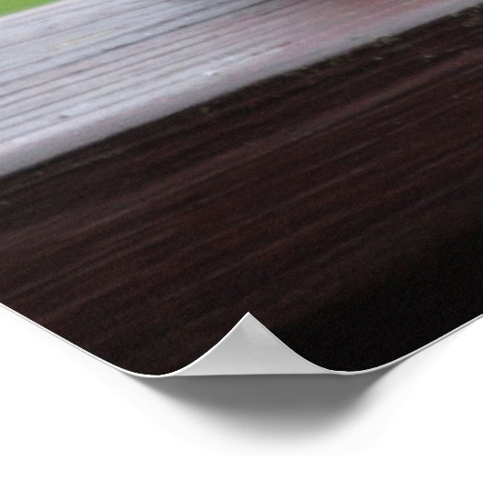 Trauertauben Poster (Ecke)