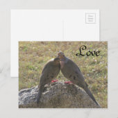 Trauertauben Vögel Liebe Postkarten (Vorne/Hinten)