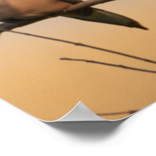 Trauertote in Baumposter Poster (Ecke)