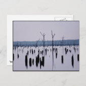 "Trauervormittag" - Postkarte (Vorne/Hinten)