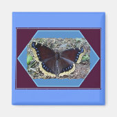 Trauerwolke Butterfly Magnet (Vorne)
