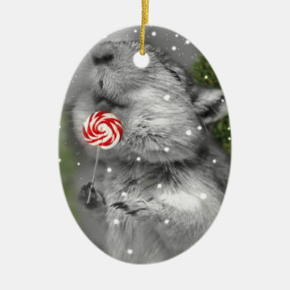 Traum des Gerbils Weihnachts Keramikornament