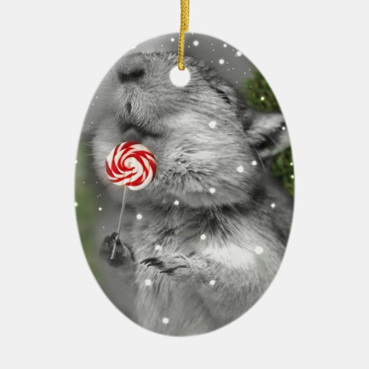 Traum des Gerbils Weihnachts Keramikornament (Vorne)