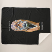 Traum glauben, Motivierend Zitat Tiger erreichen Sherpadecke (Vorderseite (Horizontal))