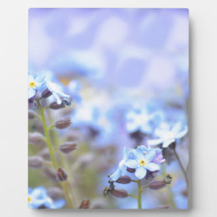 Traum in Blau Fotoplatte