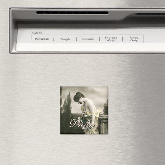 Traum Magnet (In Situ (Geschirrspüler))