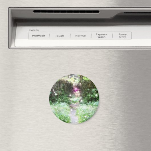 Traum Magnet (In Situ (Geschirrspüler))