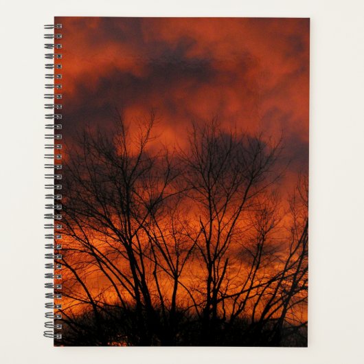 Traum Planer (Vorderseite)